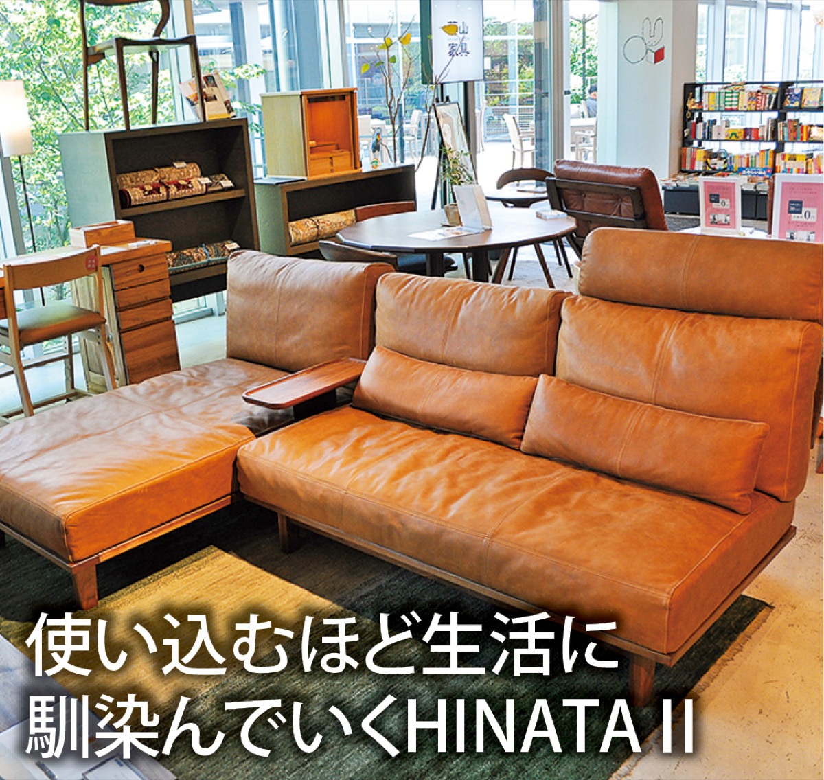 リビングフェア開催中