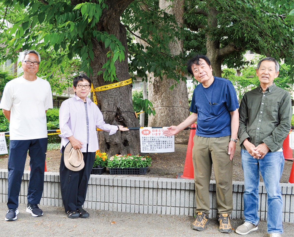 巣を見守る愛護会メンバー