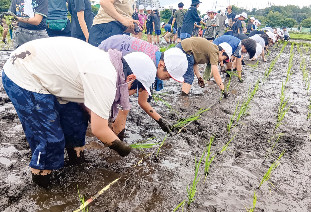 稲荷の水田で泥と格闘する児童ら