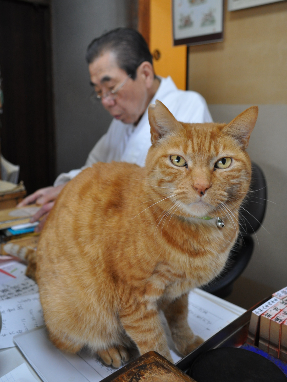こちらを見つめるコウタと田村宮司
