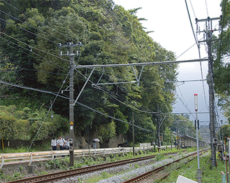 「洞門山」は北鎌倉駅手前の左側の緑地＝９月１６日撮影
