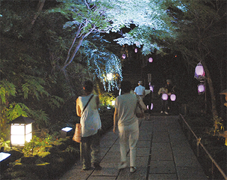 長谷寺では行燈を手に夜の境内を散策