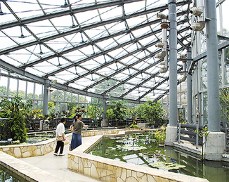 熱帯のスイレンを展示してきた観賞温室内のスイレン室は入口入って右側の池を改修し来場者用の休憩スペースに