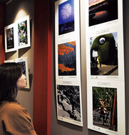 フォトコン入賞作カフェで展示中