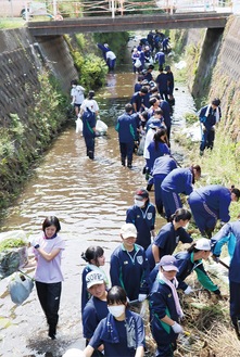 生徒１５０人が参加した新川の清掃ボランティア＝３日