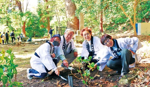 アジサイを植樹した源頼朝会のメンバー＝11月28日