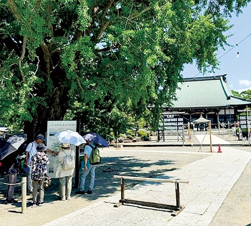 昨夏のツアーでは日傘や日陰を利用（提供）