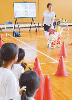 障害物を避けて進む盲導犬に見入る児童