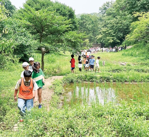 山崎小学校裏の谷戸を散策する子どもたち