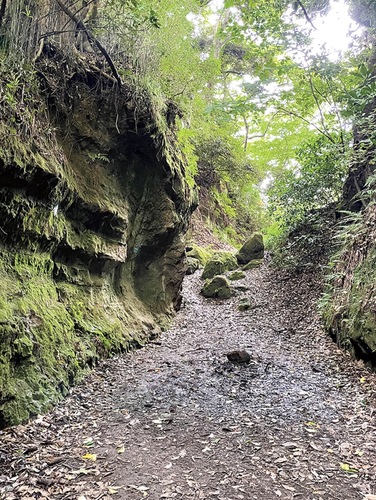 切り立った岩肌と深い緑に囲まれ歩く大仏切通