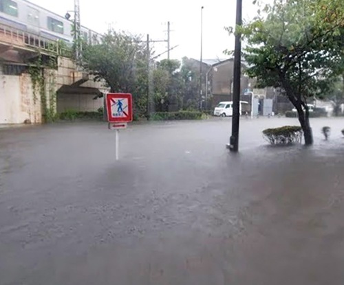 被災した鎌倉市内（提供）