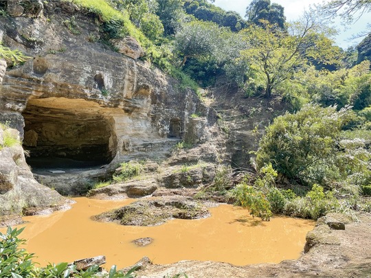 がけ崩れが発生した瑞泉寺の庭園。右の木と共に大量の土砂が池に落下し、激しい濁りも発生している