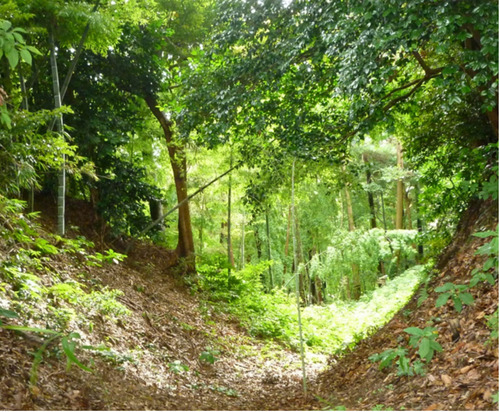豊かな玉縄城址の緑地