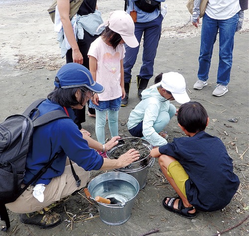 ふるいでマイクロプラスチックを探す参加者