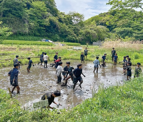 広町緑地の田んぼで泥だらけになり作業するメンバー＝提供