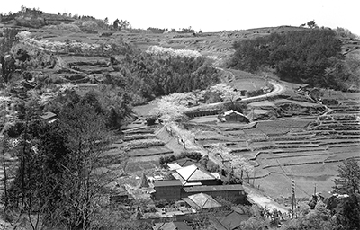 鎌倉風景  around 1955
