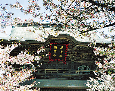 精神の系譜上東門院から第５代執権時頼へ