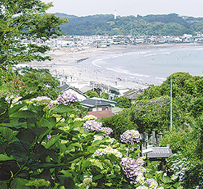 後深草院二条は『源氏物語』の若紫