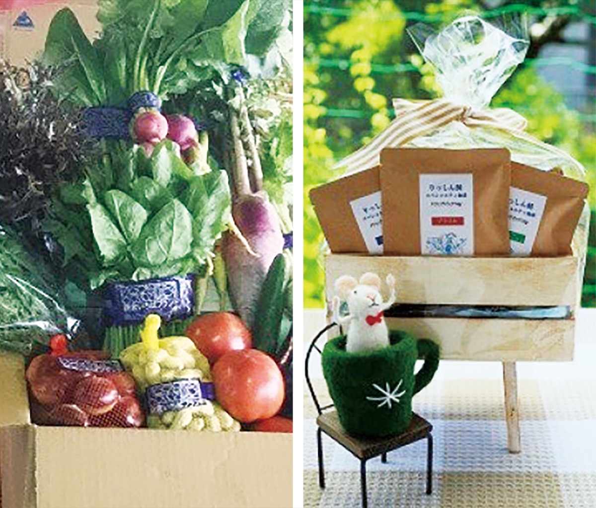 鎌倉青果（左）とりっしん洞の返礼品