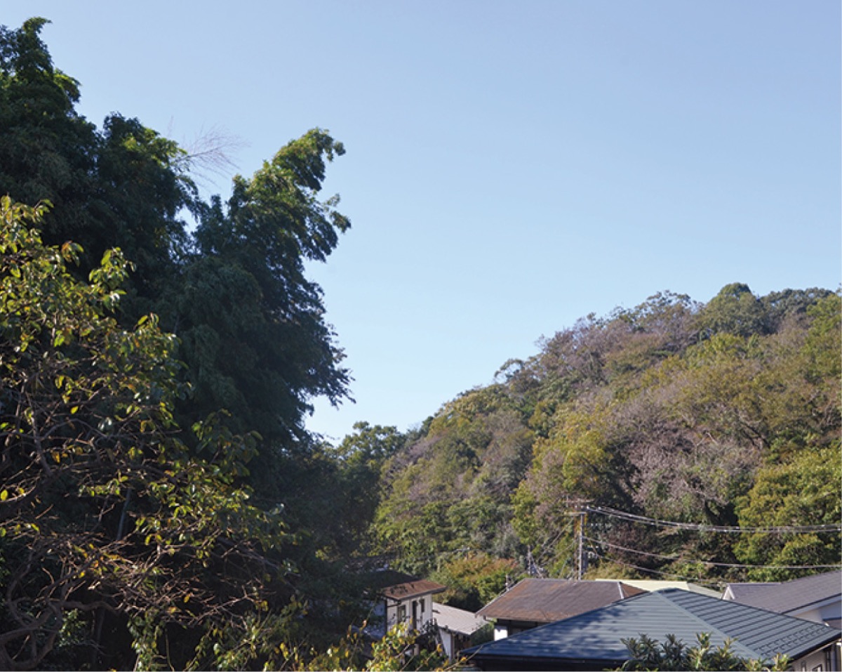 鎌倉と荘園〜山内荘（やまのうちのしょう）〜