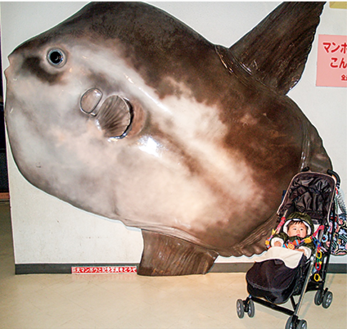 ありがとうマリンパーク (写真1)