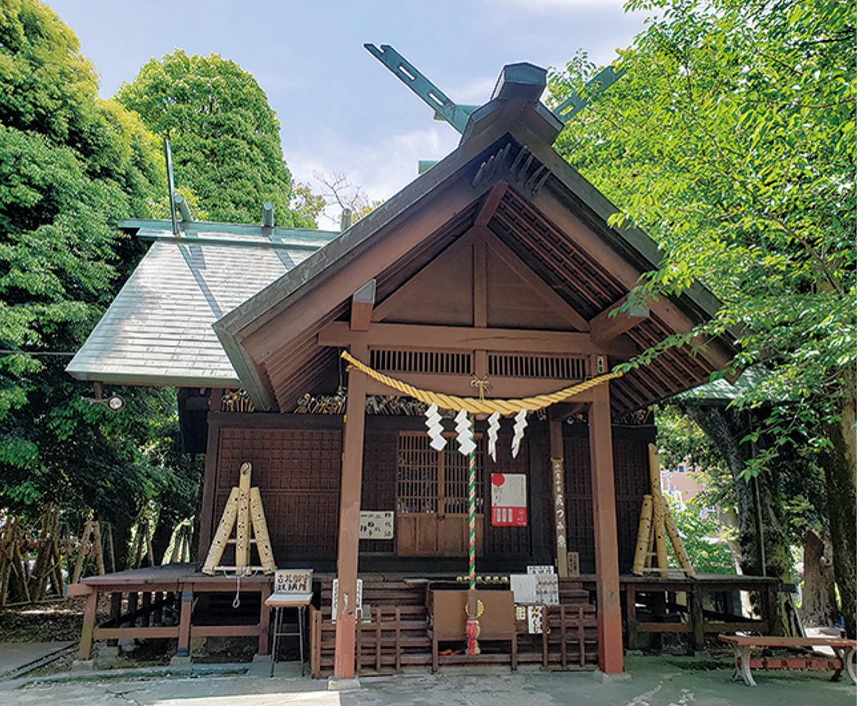 源頼朝の妻、政子のほかにも