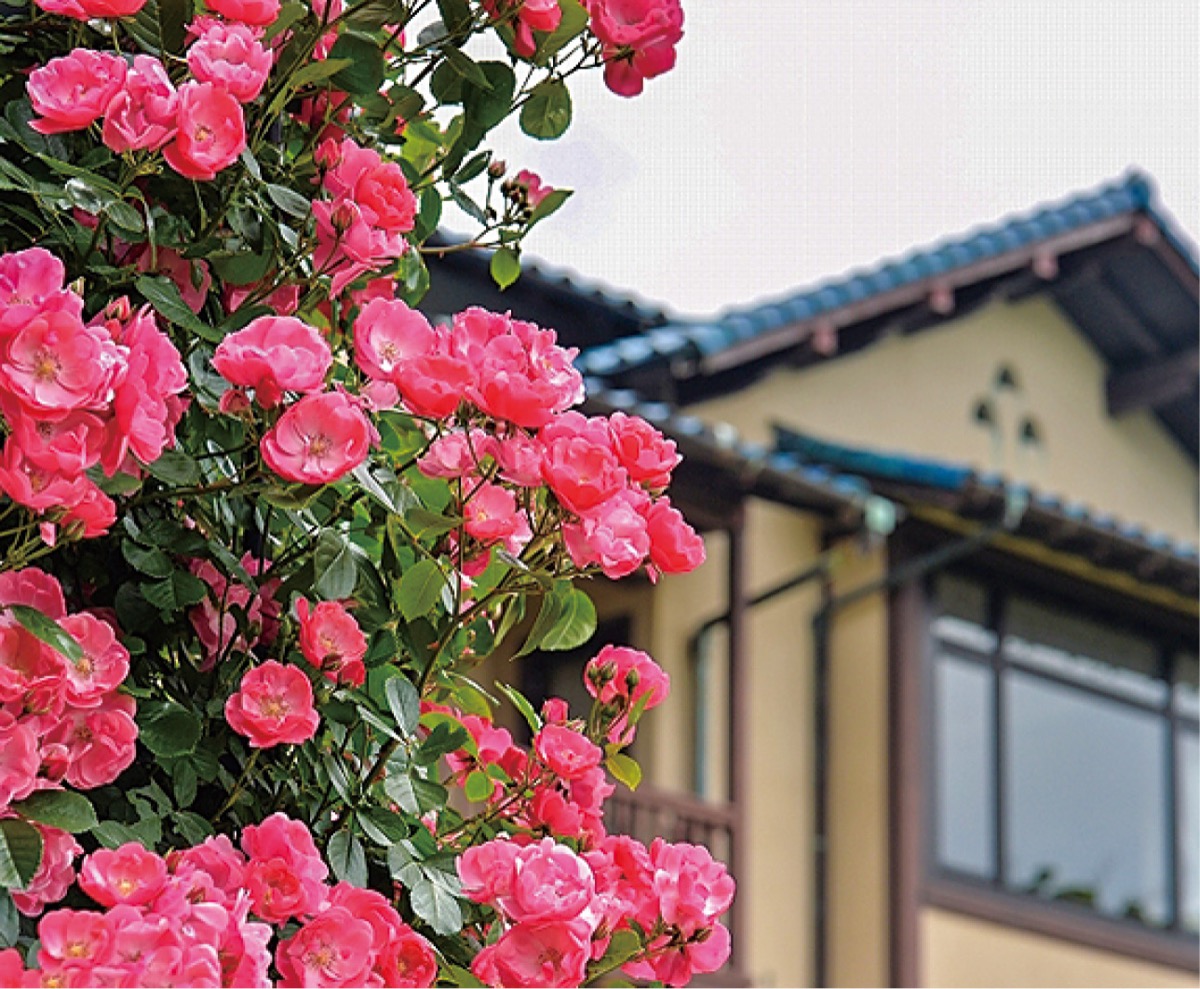 古都からの見晴らし