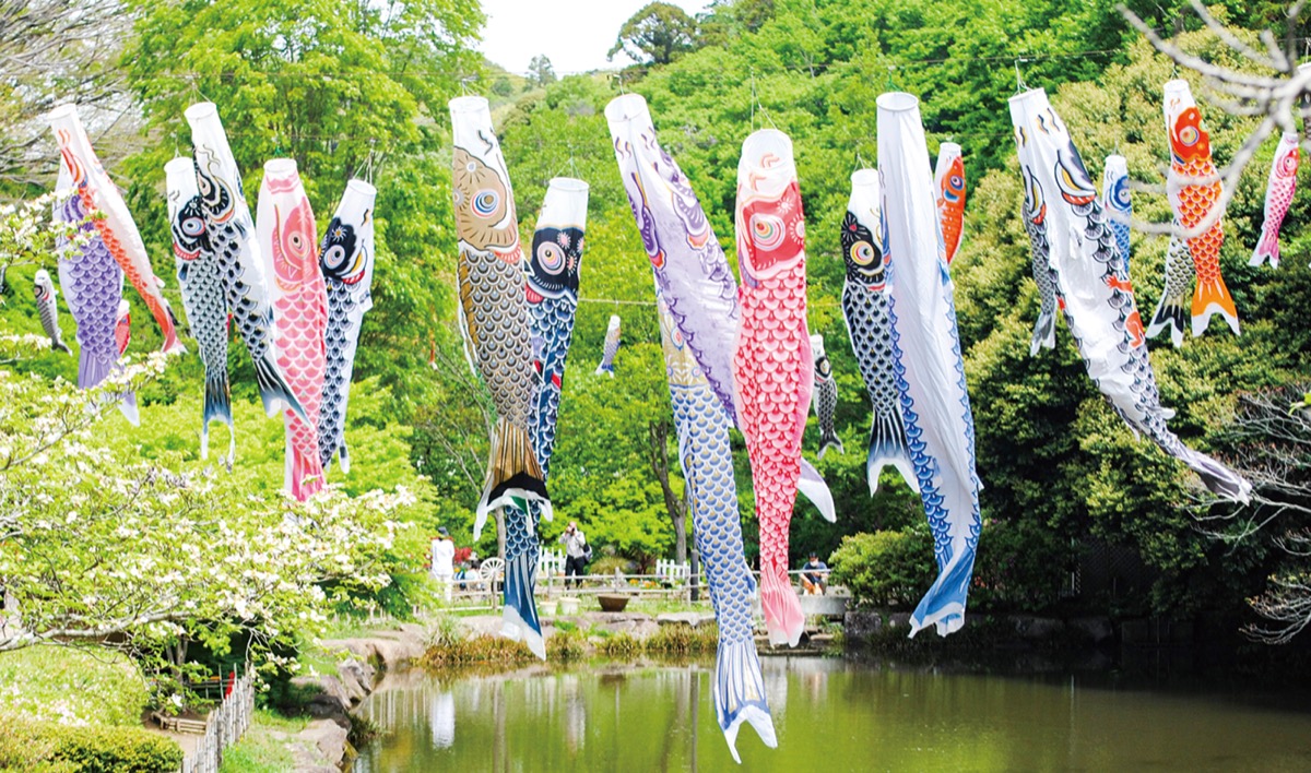 鎌倉中央公園 ３年ぶりのこいのぼり ５月８日まで遊泳 鎌倉 タウンニュース