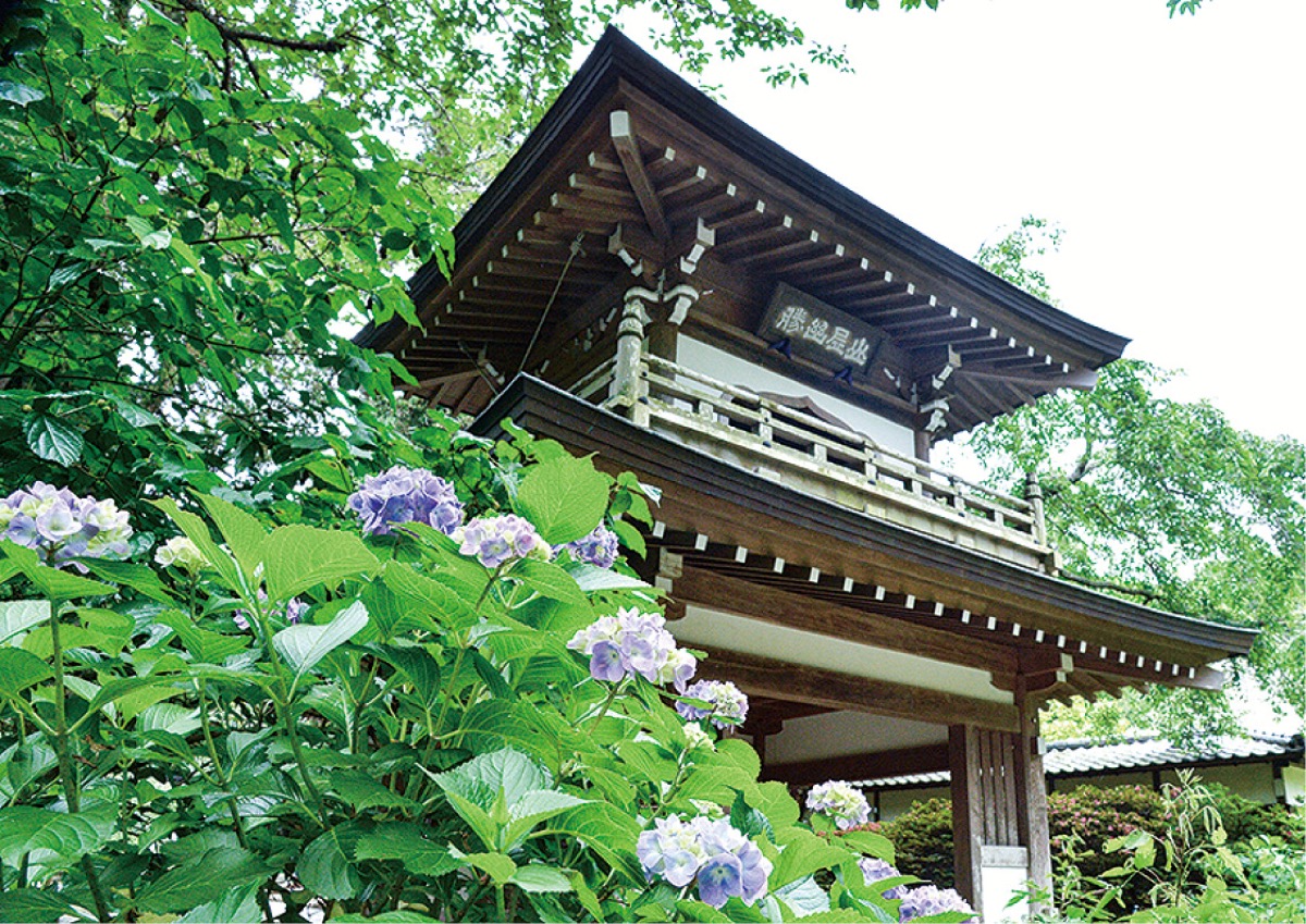 かまくら花めぐり（浄智寺）