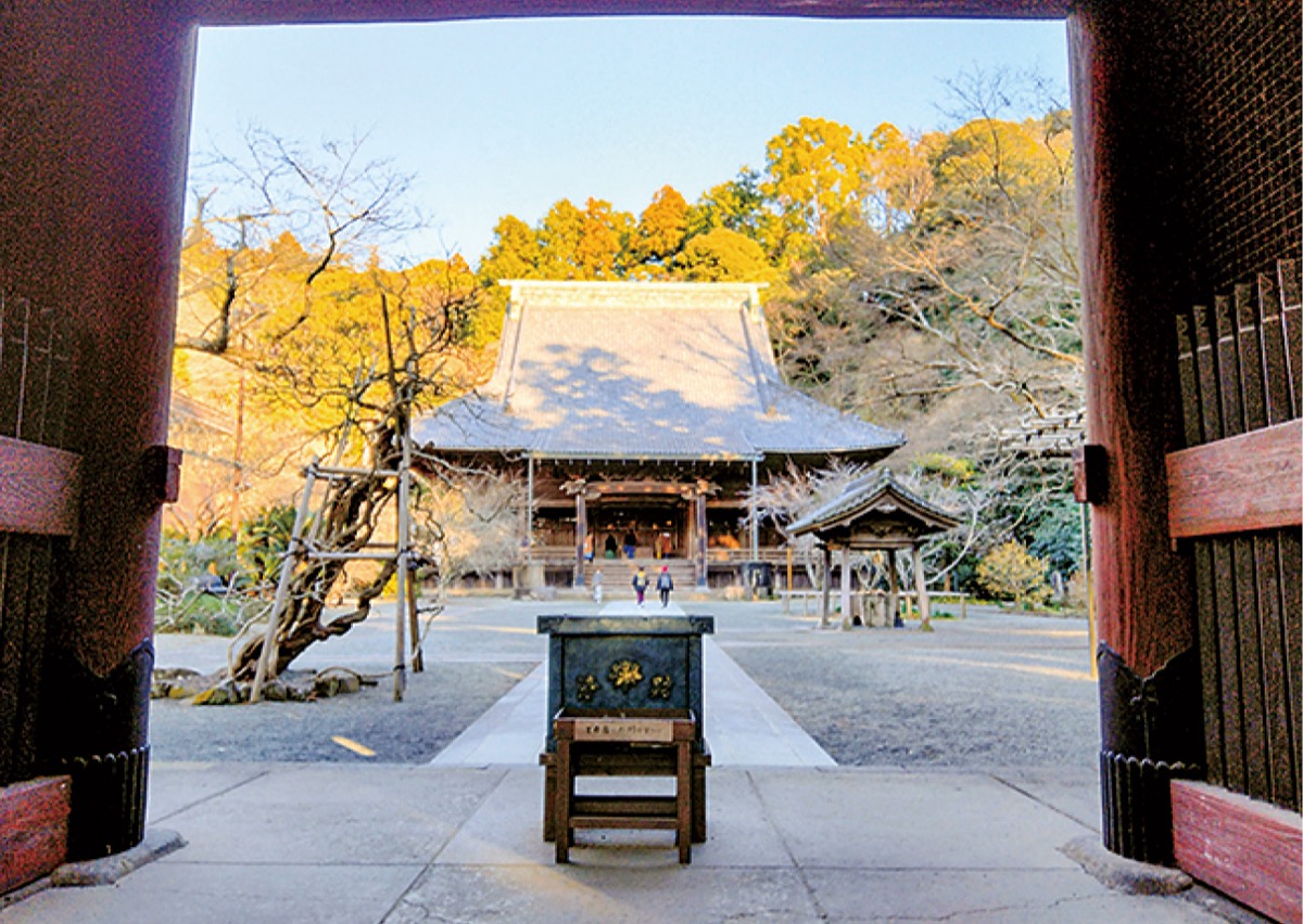 妙本寺と比企一族