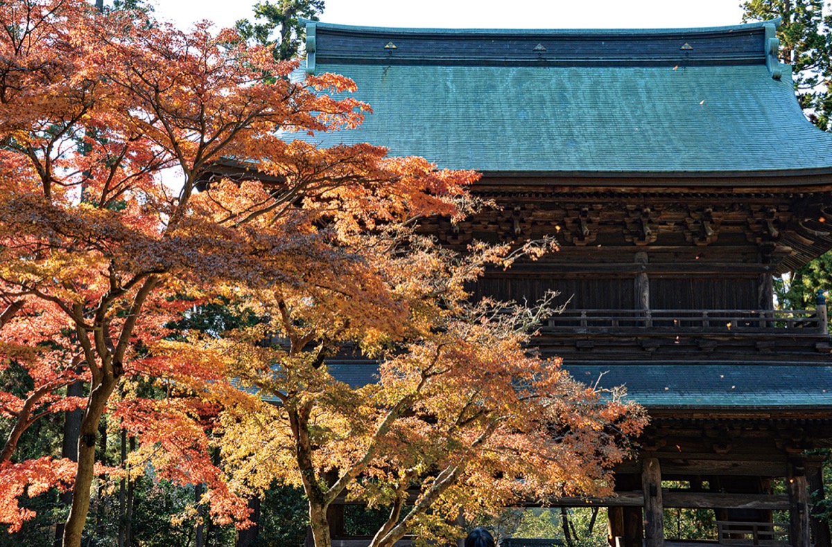 かまくら花めぐり（円覚寺：夏から）