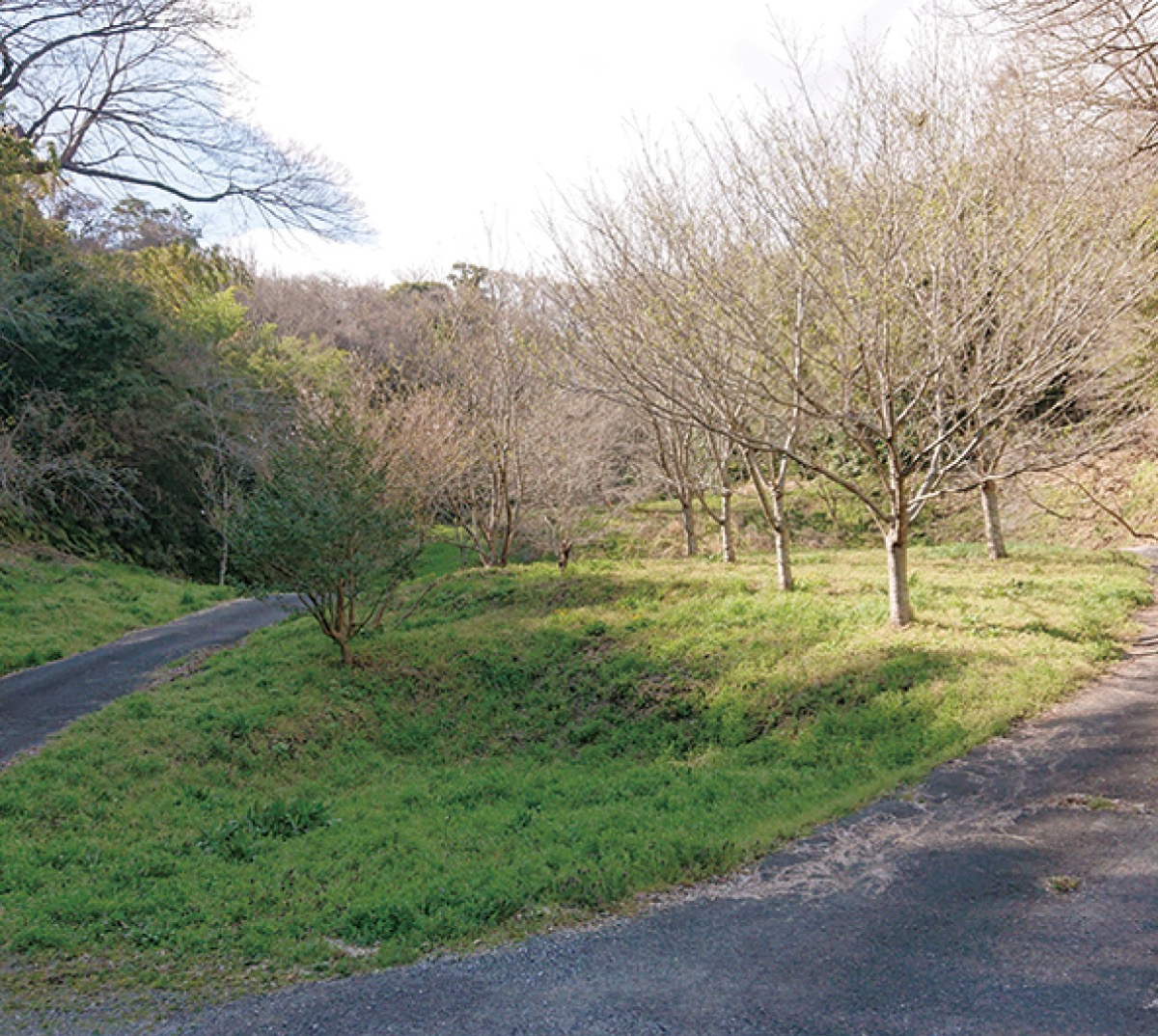 時を囲う覚園寺
