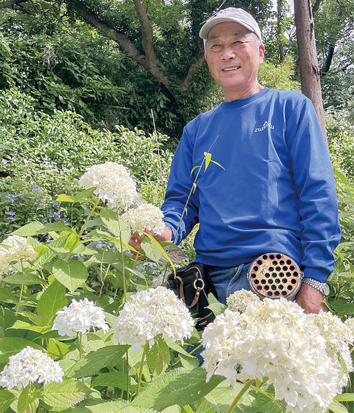 北鎌倉湧水ネットワーク アジサイ節目の千本 六国見山に新名所を