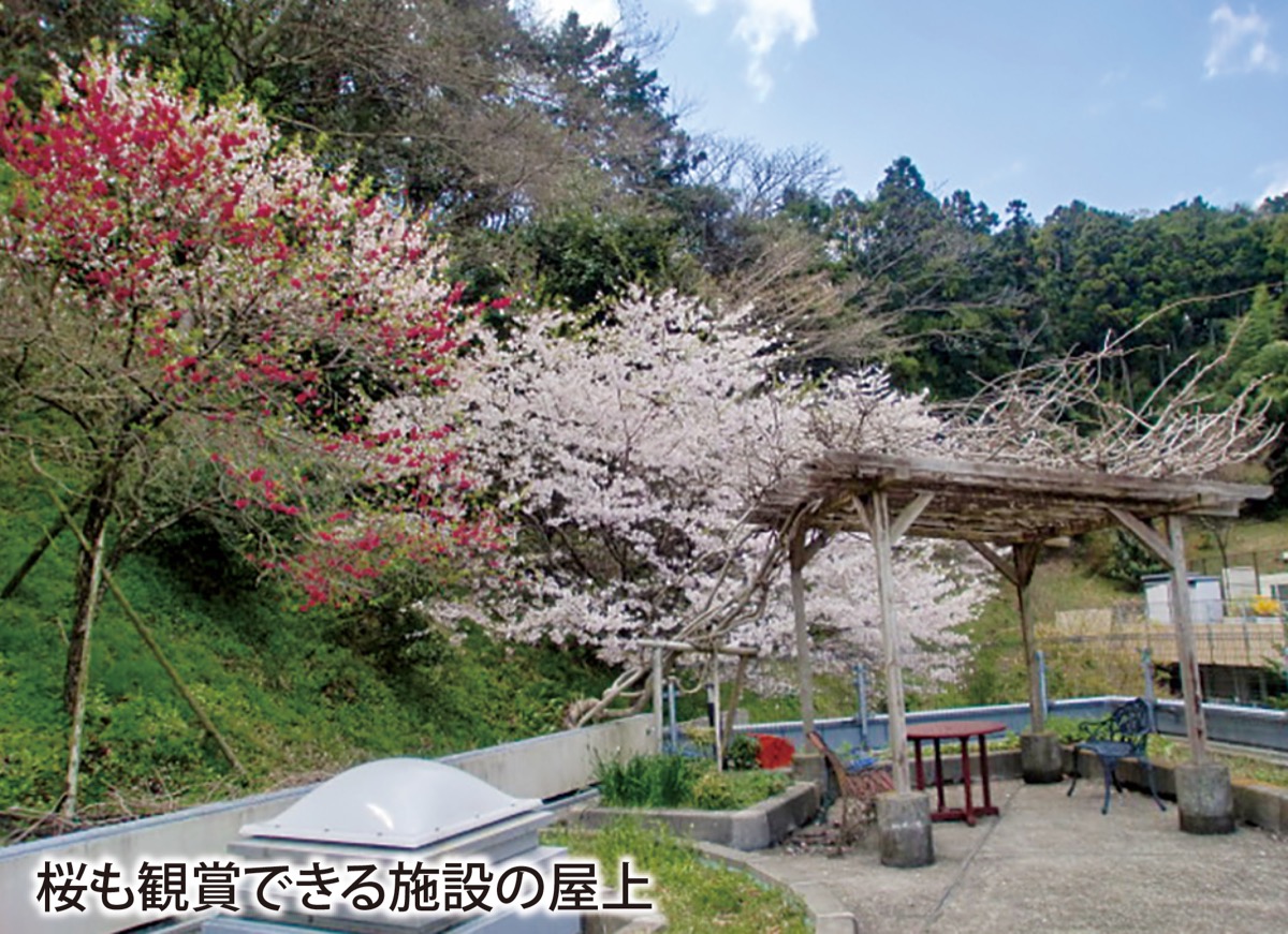 充実支援で在宅復帰をサポート