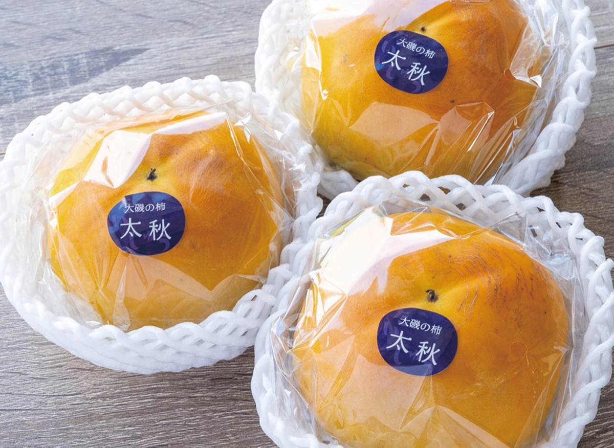 大磯の高級大玉柿「太秋柿」が旬
