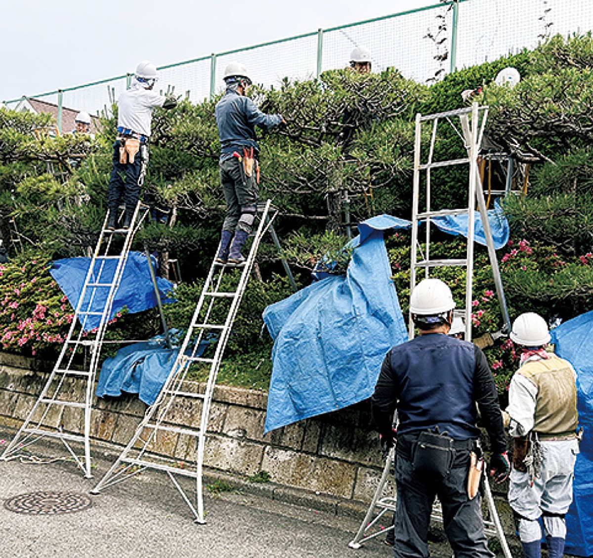 さまざまなお仕事をお引き受けします！