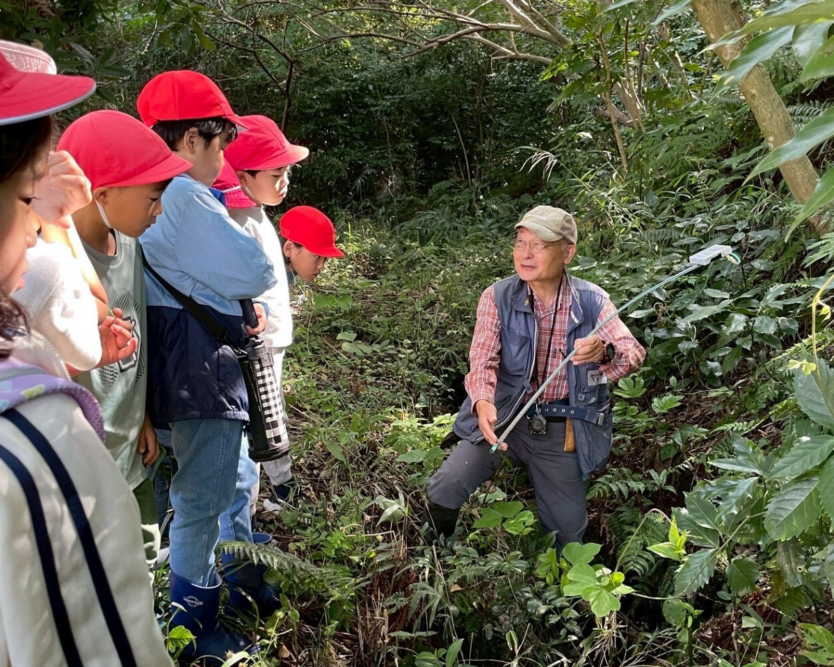 広町緑地で自然を探求