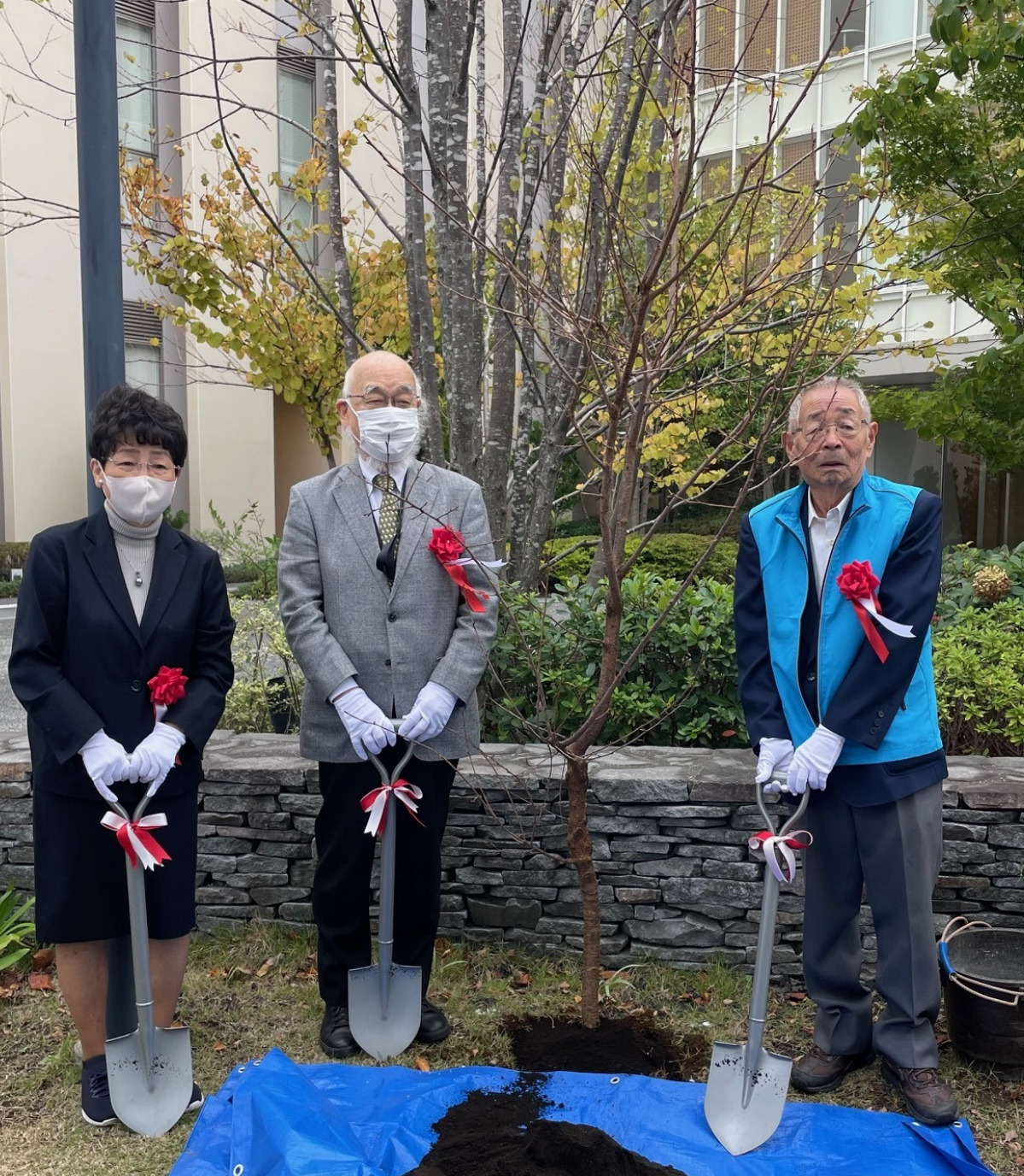 後援会が玉縄桜５本寄贈