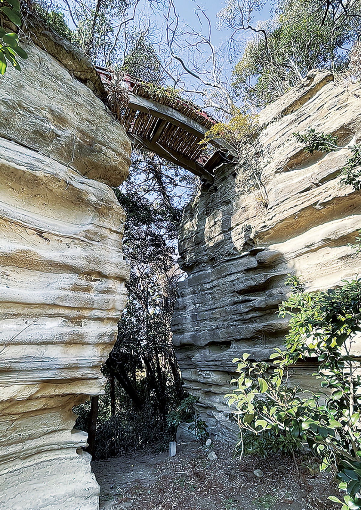 整備範囲を暫定公開
