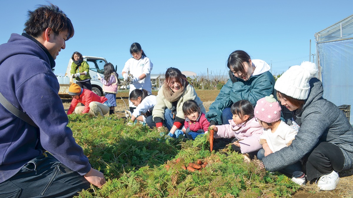 援農で給食用ニンジン収穫