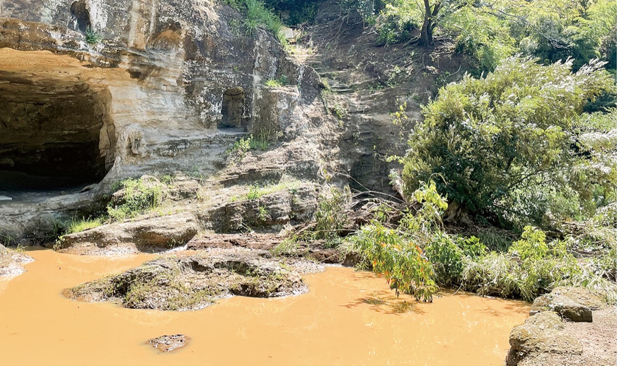 昨年９月の被災直後の様子。大木と土砂が落下した