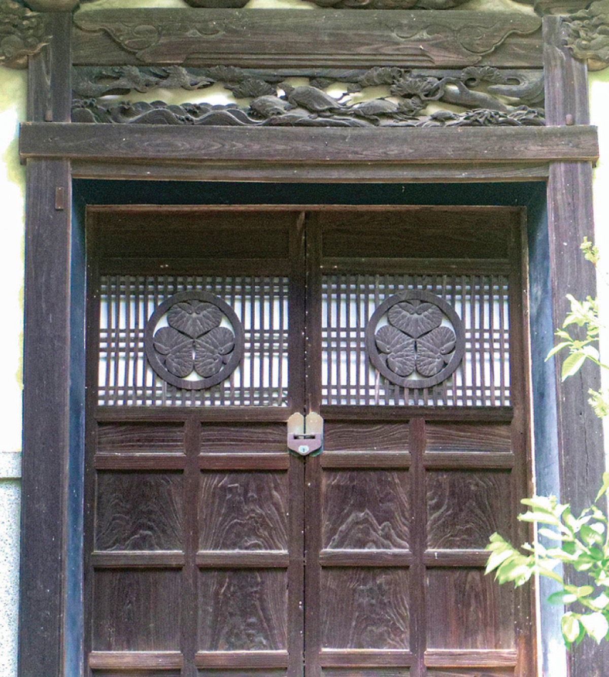 徳川将軍家の鎌倉（その二）