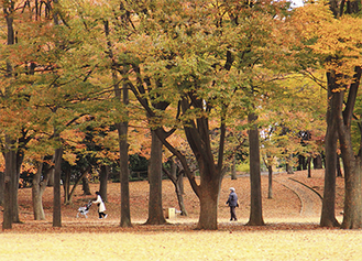 優秀賞に輝いた三上和義さんの作品「秋色の中央公園」