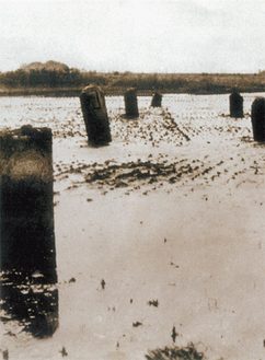 関東大震災で出現した旧相模川橋脚（写真は出現当時）