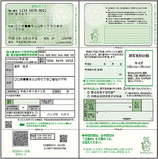 「通知カード」表・裏（上部）と個人番号カード申請書（下部）