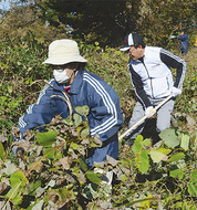 相模川河畔林保全が前進