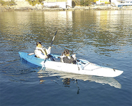 体験で海を学ぶ