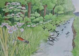 森上義孝さんの水彩画「北根の流れ」（茅ヶ崎公園体験学習センター提供）
