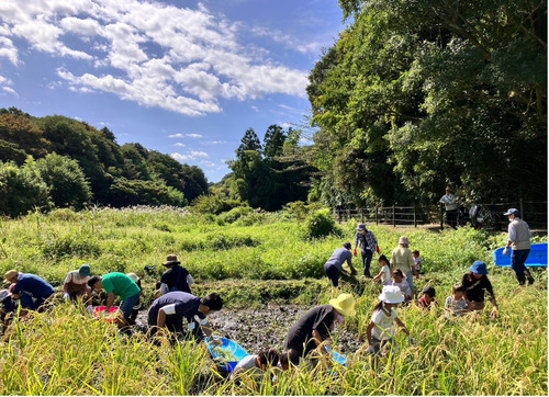 活動の様子＝提供