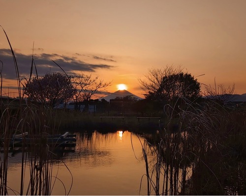 寒川町内で撮影されたダイヤモンド富士＝寒川町観光協会提供